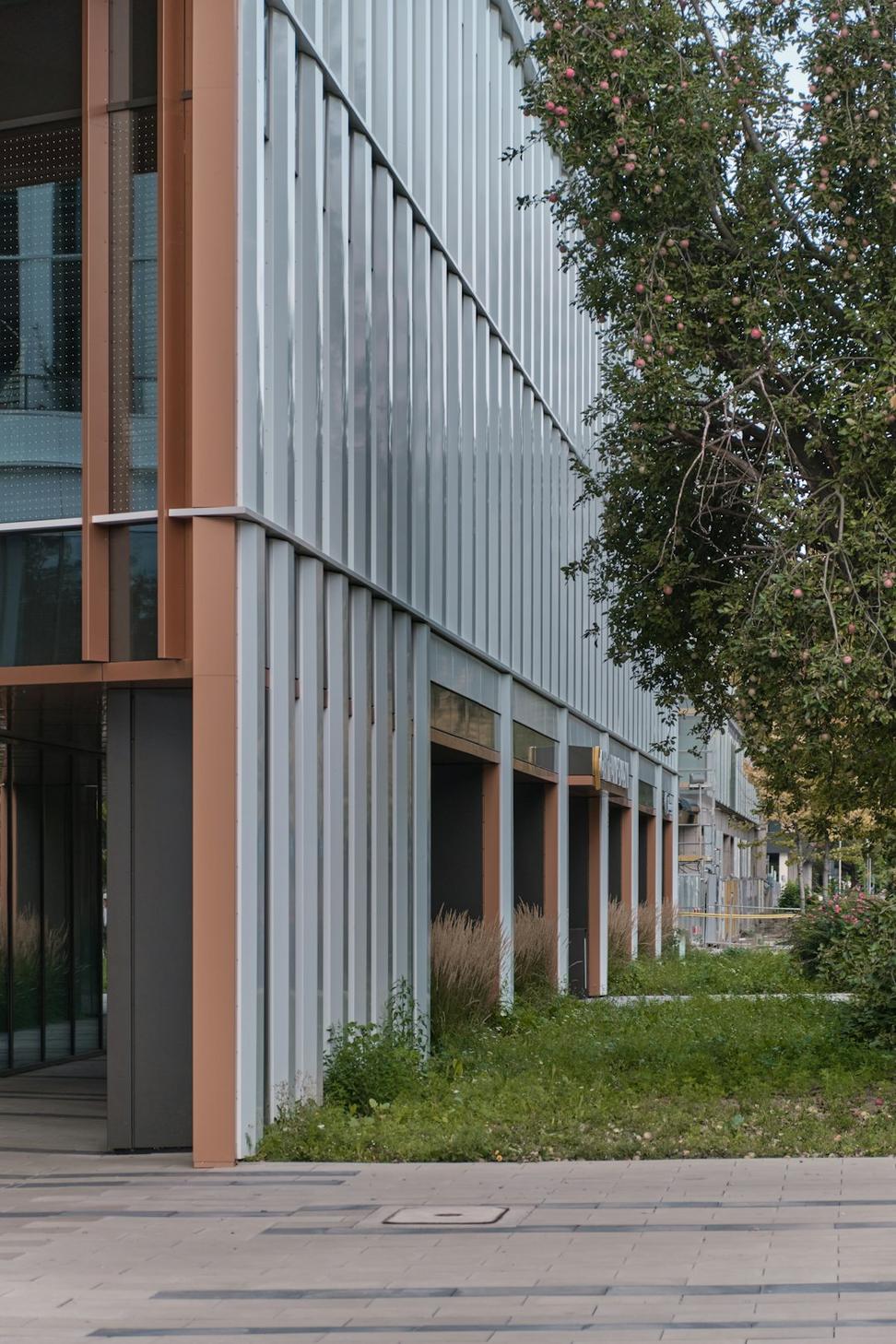 Stellar Quinthyra signature project