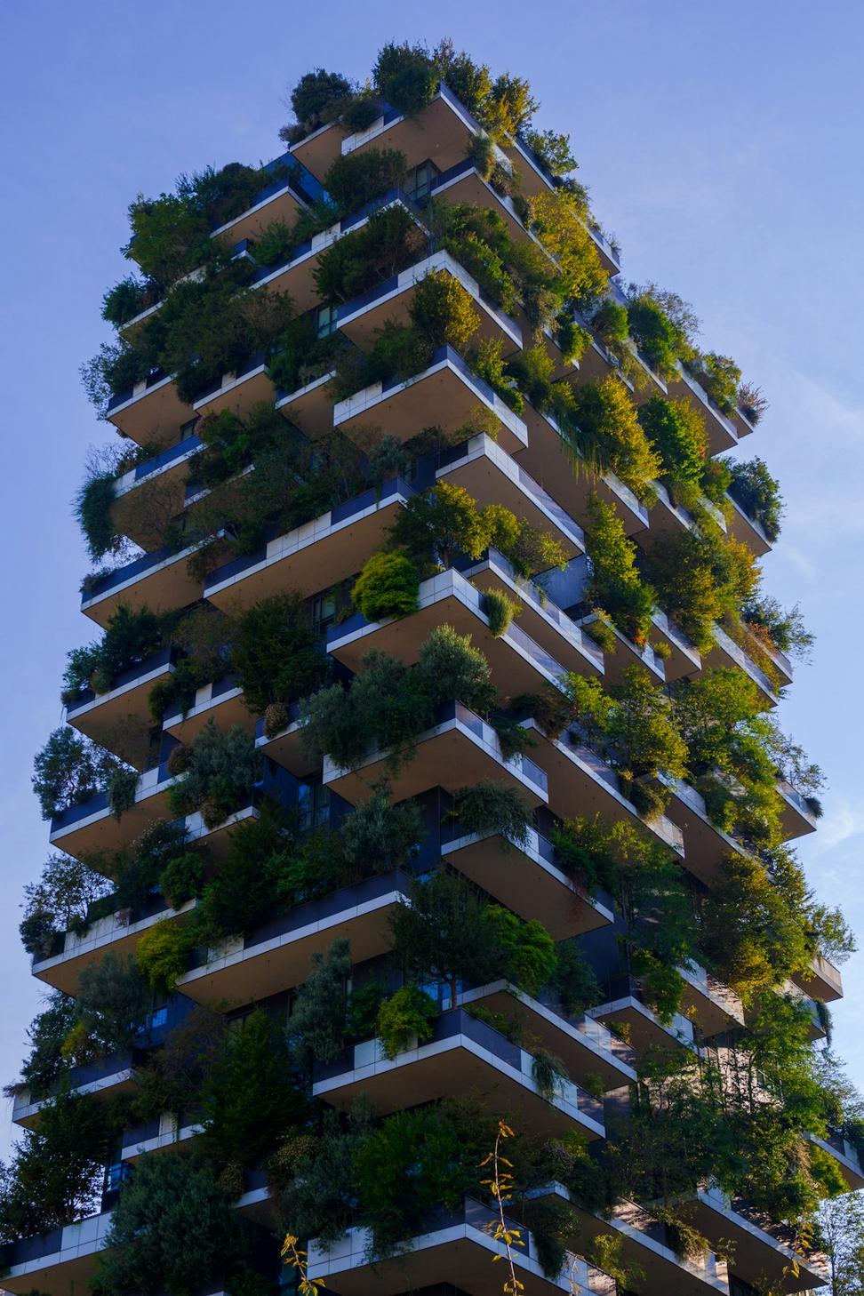 Sustainable architecture project
